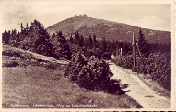 Krkonoše - Sněžka 1941 95 023 ●